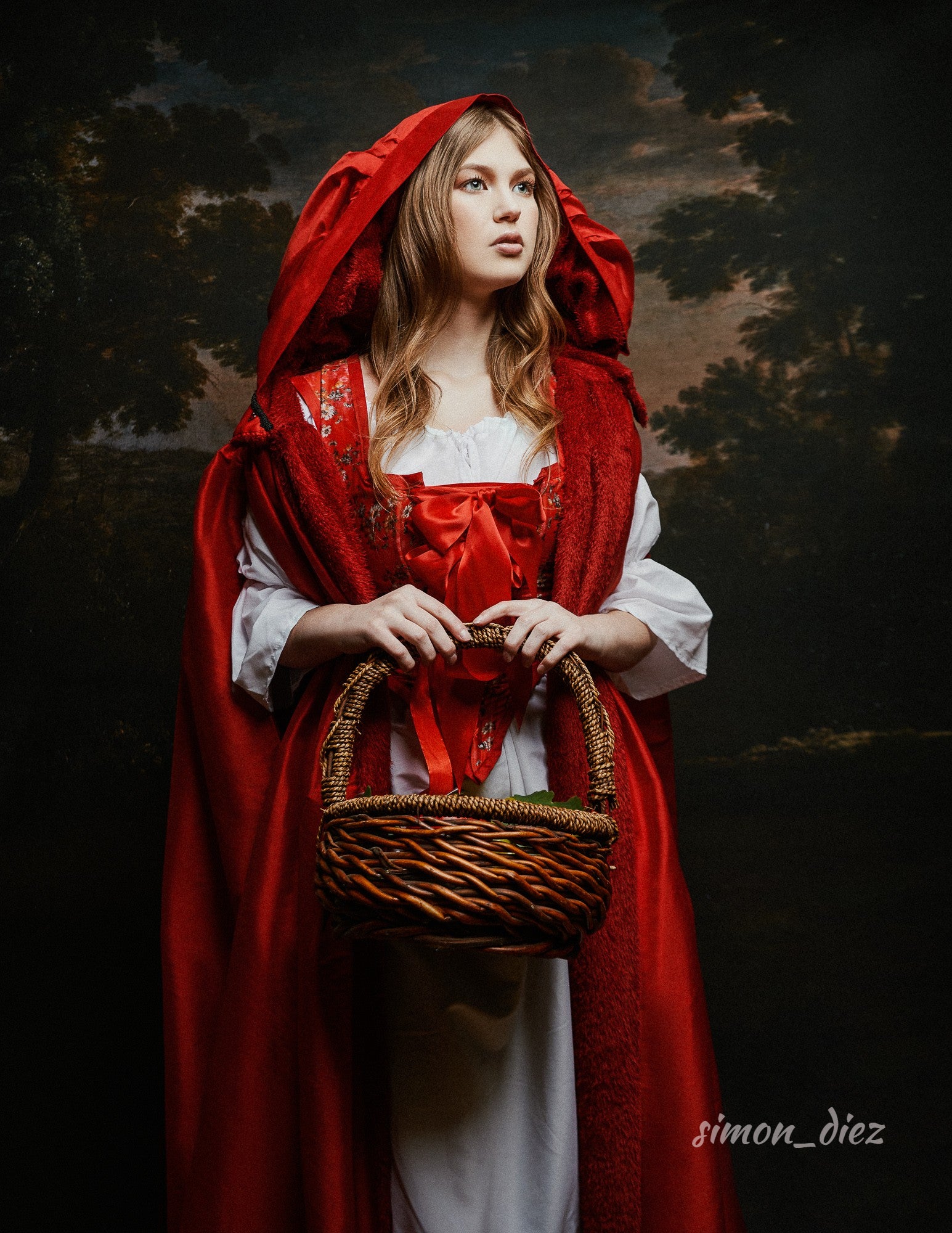 Avezano Literary Vintage Suburban Landscape Fall Photography Backdrop-AVEZANO